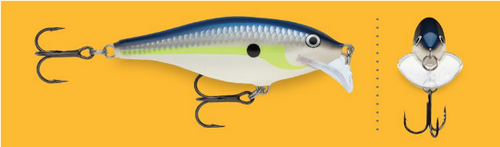 Scatter Rap Shad