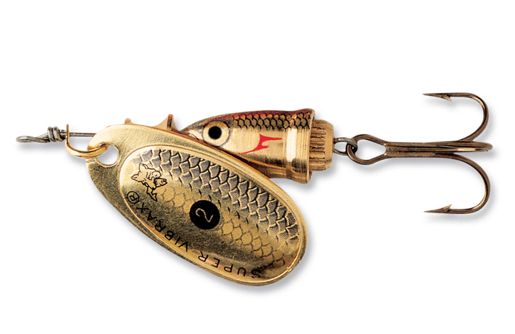 Leptir blue fox Leptir blue fox